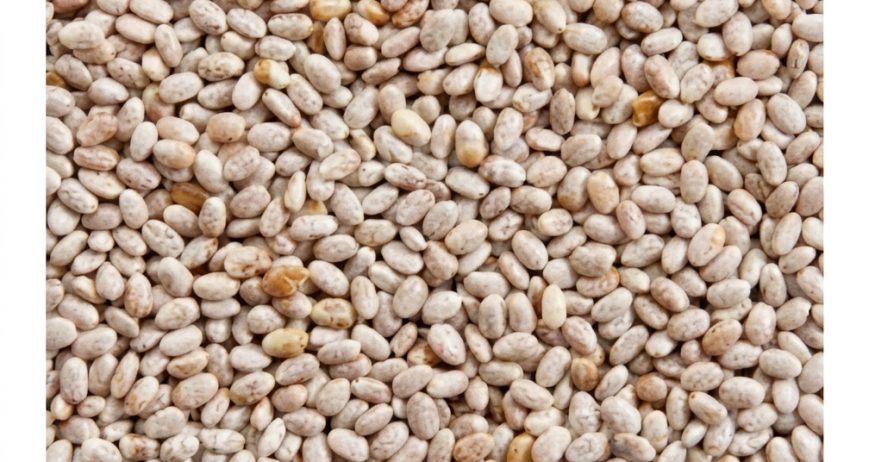 Chia seeds are a source of protein, fiber, fatty acids and Omega 3 of vegetable origin, they contain good quality protein because they contain all the essential amino acids. Reduces cravings between meals and improves the digestive tract, stimulating the metabolic rate throughout the day