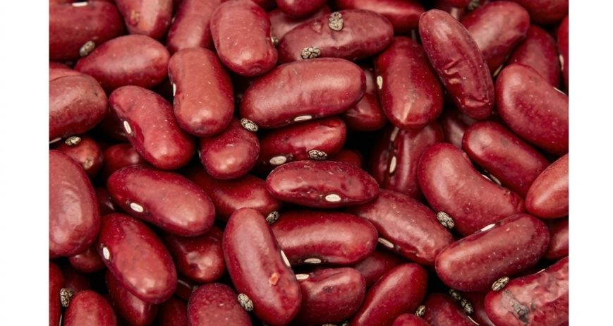 Beans and legumes are rich in vegetable protein, fiber, B vitamins, iron, folic acid, calcium, potassium, phosphorus and zinc. Most beans are also low in fat and similar in nutrients to meat but with lower levels of iron and no animal fat.