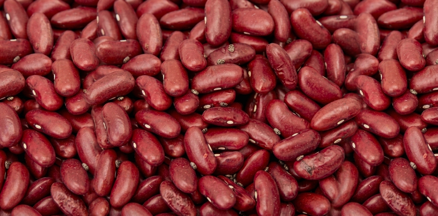 Beans and legumes are rich in vegetable protein, fiber, B vitamins, iron, folic acid, calcium, potassium, phosphorus and zinc. Most beans are also low in fat and similar in nutrients to meat but with lower levels of iron and no animal fat.