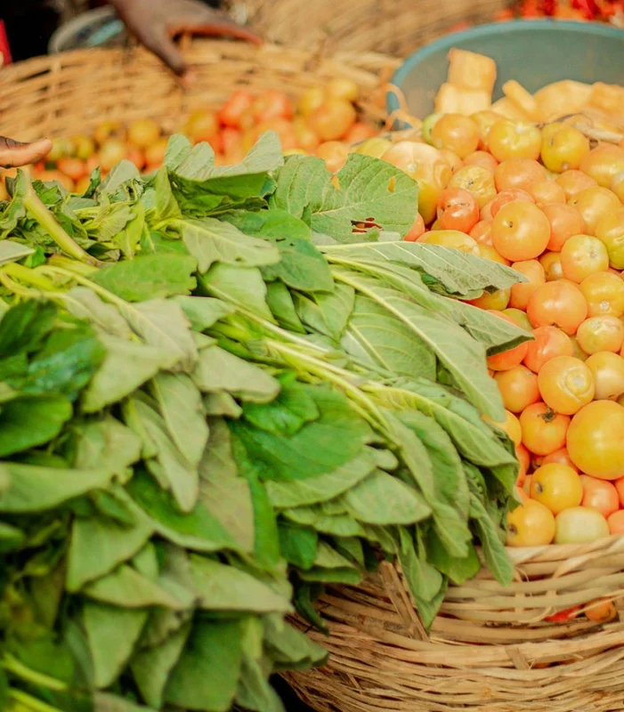 Organic farms avoid toxic inputs, improve soil health, grow clean, sustainable food that supports nature.