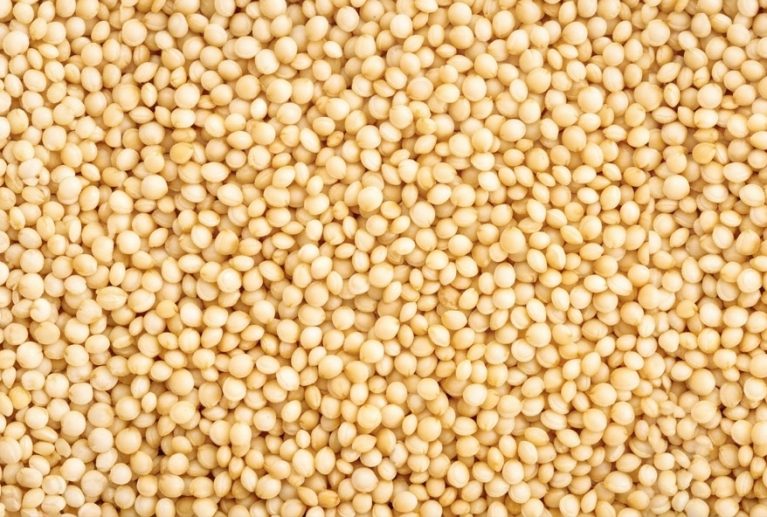 Composed of an extraordinary variety of vitamins and minerals that improve the health of the human body. Amaranth has squalene, an antioxidant acid, lunasin protein, and slow-absorbing carbohydrates. It is an ideal option to have a balanced diet.