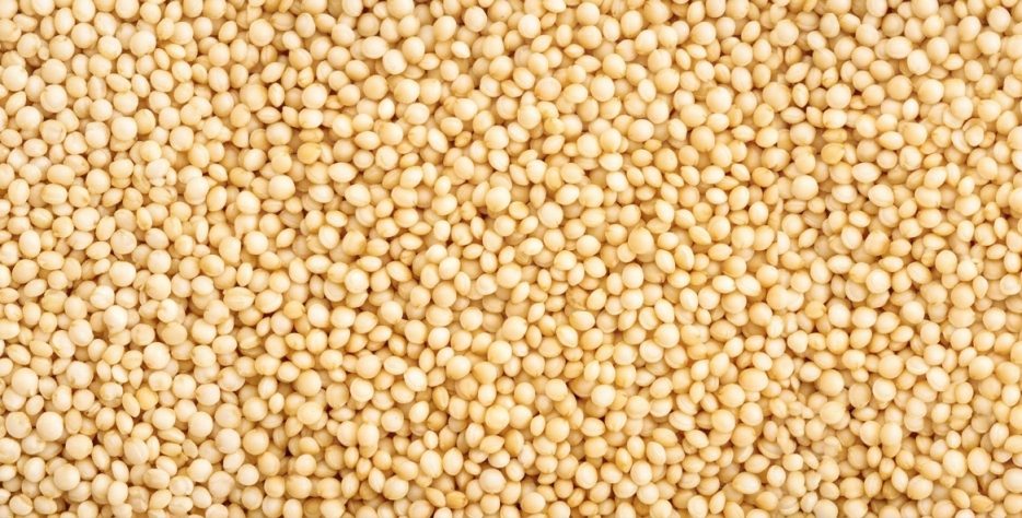 Composed of an extraordinary variety of vitamins and minerals that improve the health of the human body. Amaranth has squalene, an antioxidant acid, lunasin protein, and slow-absorbing carbohydrates. It is an ideal option to have a balanced diet.