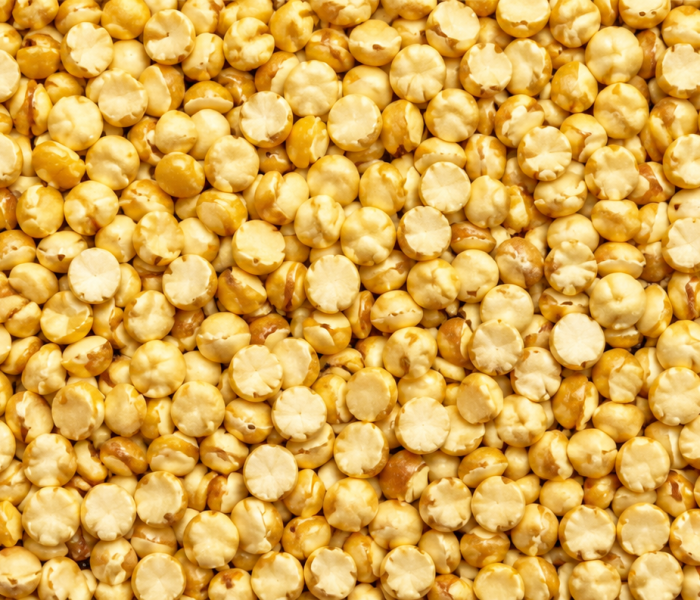 Quinoa contains up to 50% more protein than other grains, contributing to an increase in body mass, a healthy weight, a better physical condition and a better quality of life. It has a great contribution in soluble and insoluble fiber. It has minerals, hydrates, starch and energy that favor any physical activity.