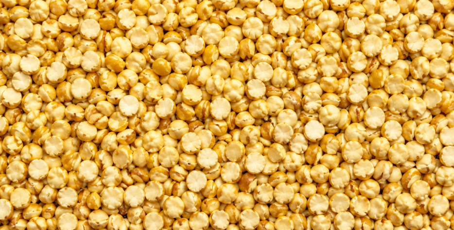 Quinoa contains up to 50% more protein than other grains, contributing to an increase in body mass, a healthy weight, a better physical condition and a better quality of life. It has a great contribution in soluble and insoluble fiber. It has minerals, hydrates, starch and energy that favor any physical activity.