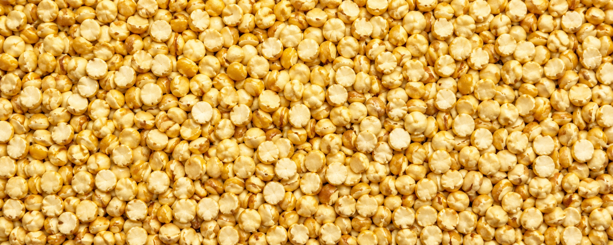 Quinoa contains up to 50% more protein than other grains, contributing to an increase in body mass, a healthy weight, a better physical condition and a better quality of life. It has a great contribution in soluble and insoluble fiber. It has minerals, hydrates, starch and energy that favor any physical activity.